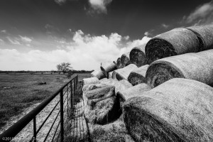 haybales-1